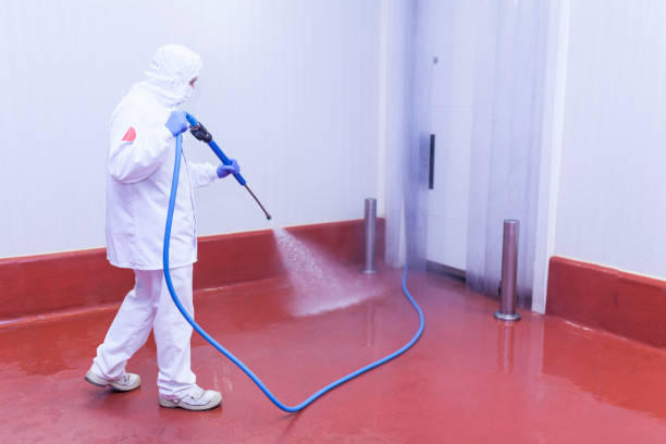 Best Paint Preparation  in Slater, MO